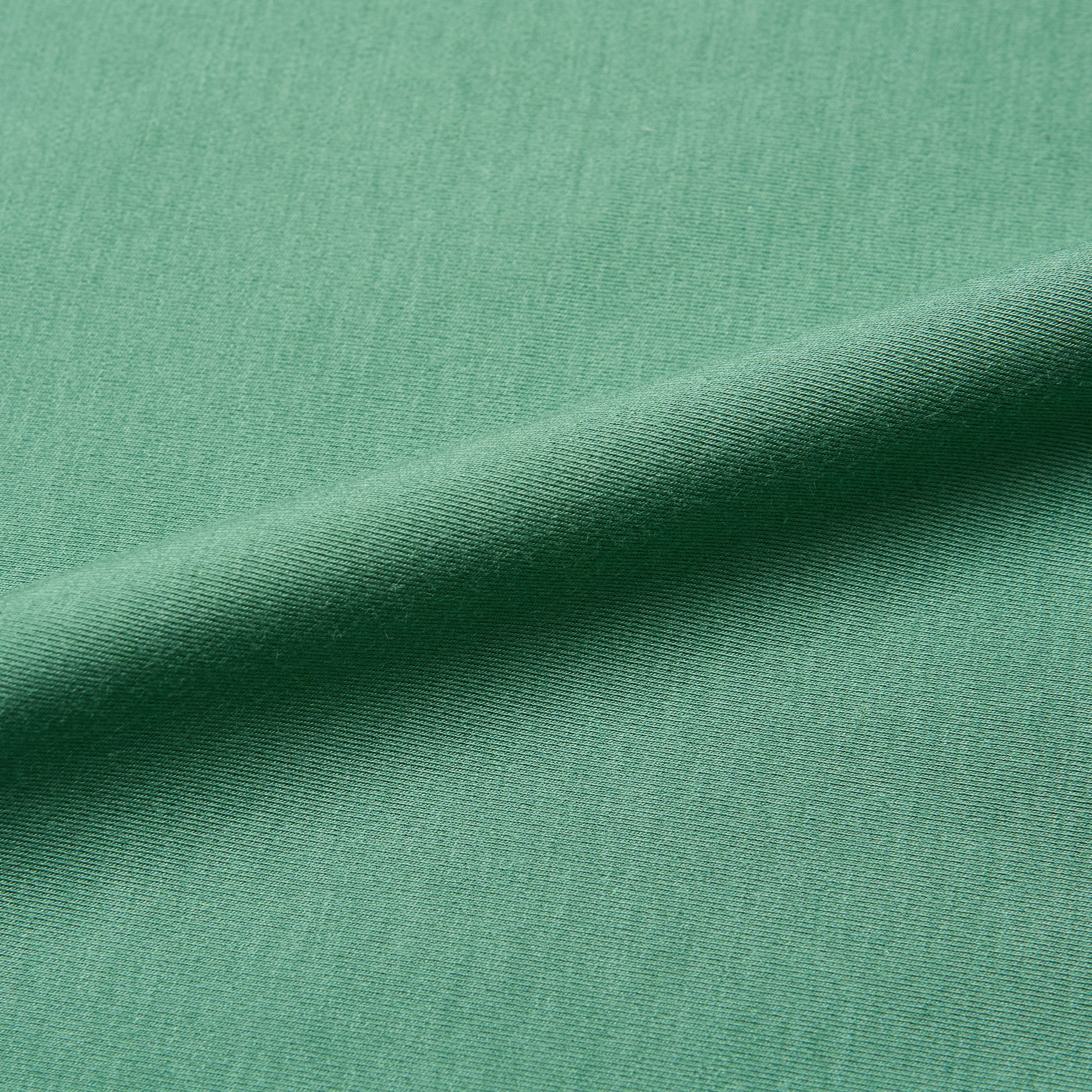 Хлопок трикотажный Lavigne (Зеленый, 5521/18 С1, БП)